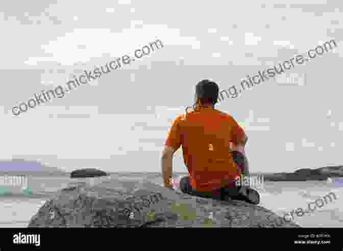 A Person Sitting On A Rock, Contemplating The Ocean Life S Chuckles And Tales: A Peek Into My Life