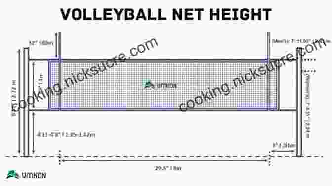 Men's Volleyball Net Height Is 2.43 Meters (7 Feet 11 5/8 Inches) Look At All That Room Above The Net: Wit And Wisdom From A Lifetime In Tennis