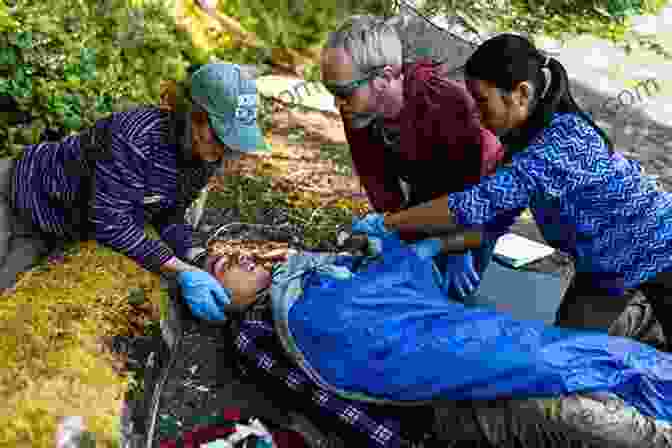 NOLS Wilderness Medicine Students Practicing First Aid In The Backcountry NOLS Wilderness Medicine Tod Schimelpfenig