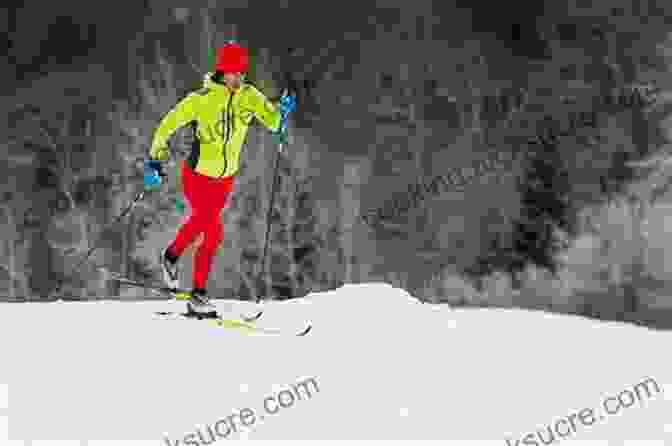 Nordic Skier Training In A Snowy Forest Celebrate Winter: An Olympian S Stories Of A Life In Nordic Skiing