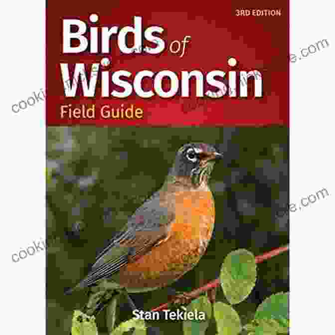 The Cover Of The Birds Of Wisconsin Field Guide, Featuring A Photograph Of A Variety Of Bird Species Birds Of Wisconsin Field Guide (Bird Identification Guides)