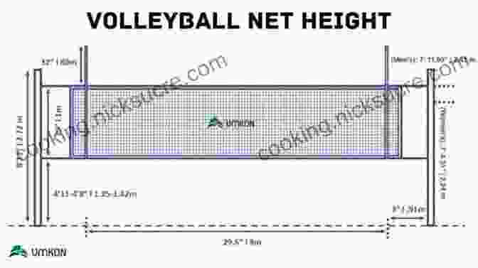 Women's Volleyball Net Height Is 2.24 Meters (7 Feet 4 1/8 Inches) Look At All That Room Above The Net: Wit And Wisdom From A Lifetime In Tennis
