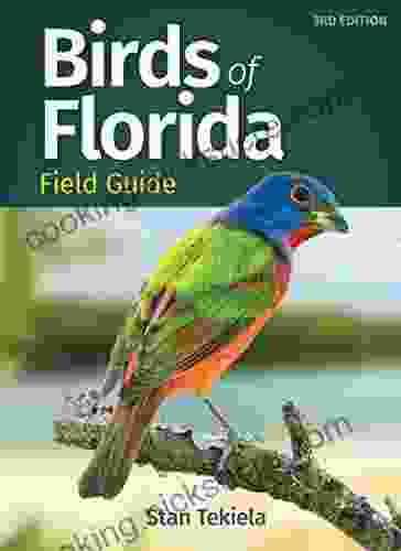 Birds Of Florida Field Guide (Bird Identification Guides)