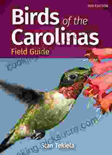Birds Of The Carolinas Field Guide (Bird Identification Guides)