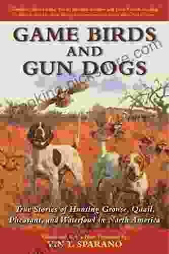 Game Birds And Gun Dogs: True Stories Of Hunting Grouse Quail Pheasant And Waterfowl In North America